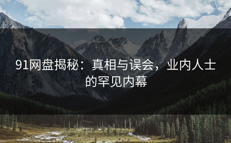 91网盘揭秘：真相与误会，业内人士的罕见内幕