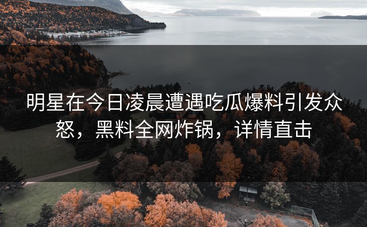 明星在今日凌晨遭遇吃瓜爆料引发众怒，黑料全网炸锅，详情直击