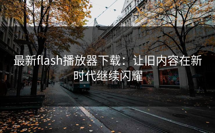 最新flash播放器下载：让旧内容在新时代继续闪耀