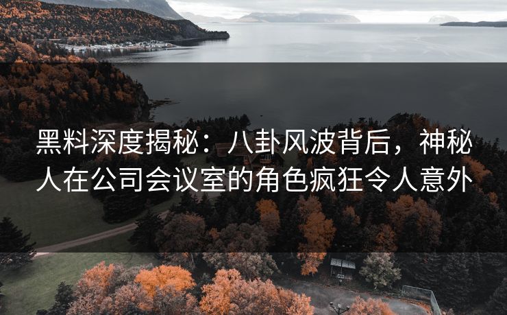 黑料深度揭秘：八卦风波背后，神秘人在公司会议室的角色疯狂令人意外