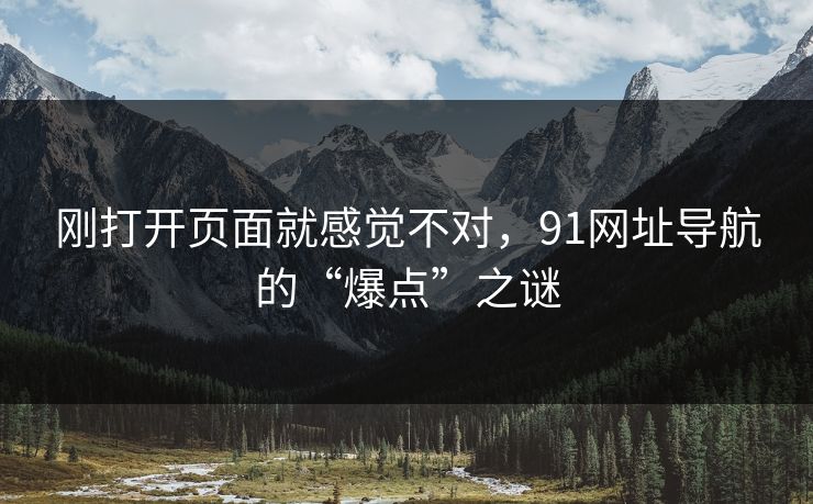 刚打开页面就感觉不对，91网址导航的“爆点”之谜